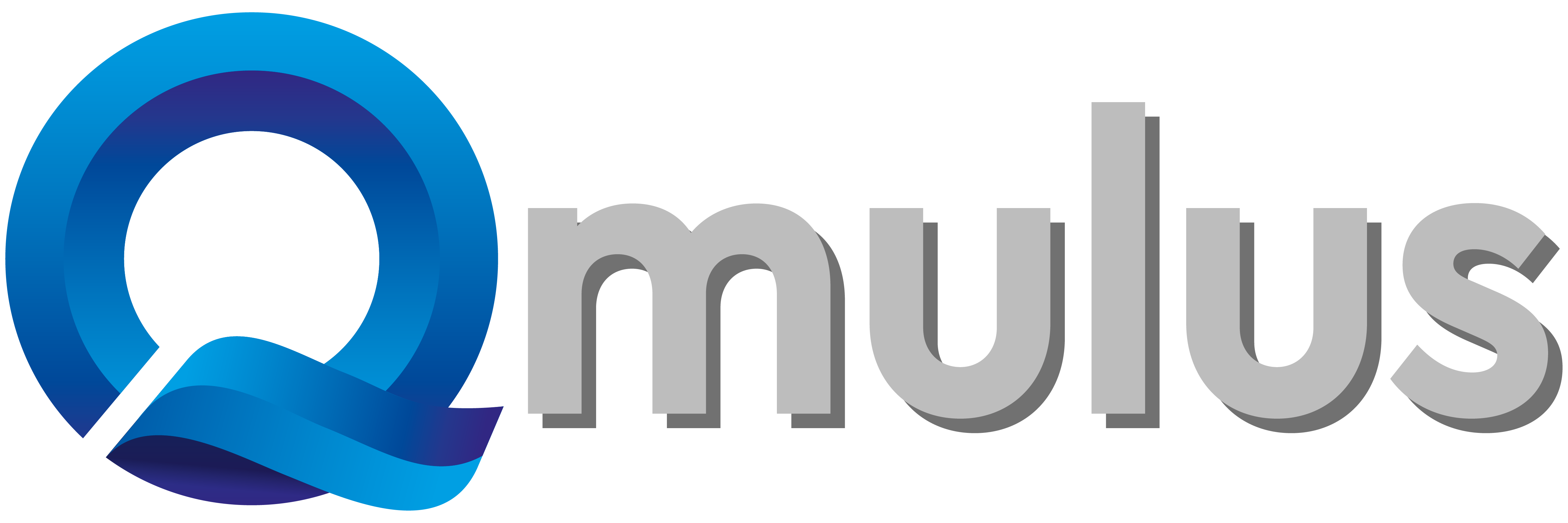 QMULUS INVESTMENT GROUP
