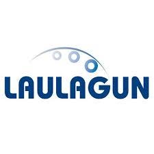 LAULAGUN BEARINGS