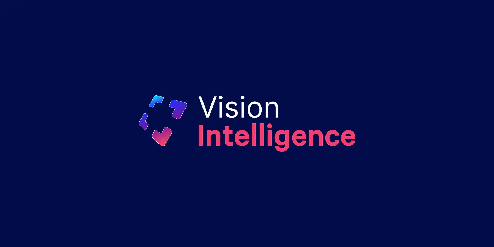 Vision Intelligence