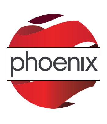 Phoenix It Group
