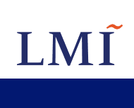 Lmi Consulting