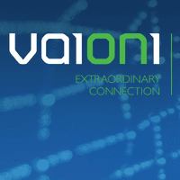 Vaioni Group