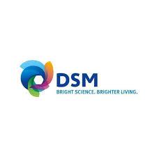 Dsm (resins And Functional Materials Business)