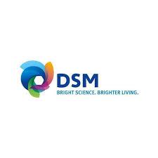 DSM (RESINS AND FUNCTIONAL MATERIALS BUSINESS)