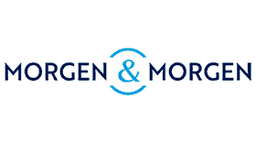 MORGEN & MORGEN GMBH