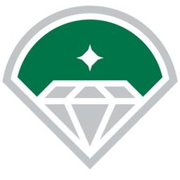 DIAMOND BASEBALL HOLDINGS