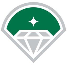 Diamond Baseball Holdings