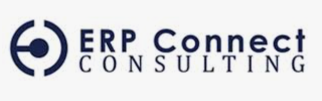 ERP CONNECT CONSULTING