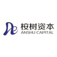 ANSHU CAPITAL