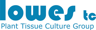 Lowes Tissue Culture