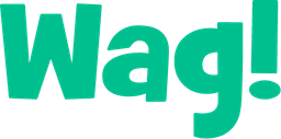 WAG LABS INC