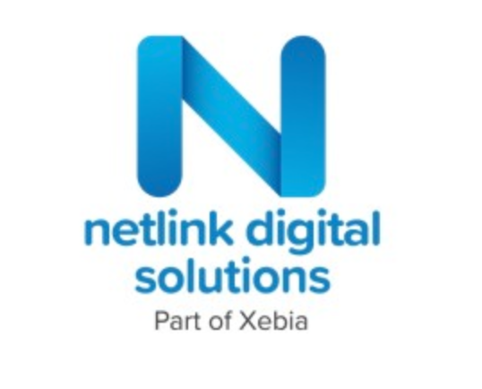 Netlink Digital Solutions Group