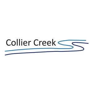 Collier Creek Holdings