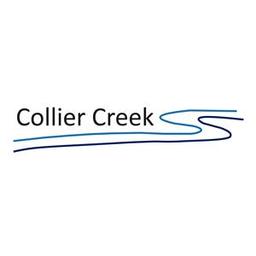 COLLIER CREEK HOLDINGS