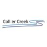 COLLIER CREEK HOLDINGS