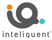 INTELIQUENT INC