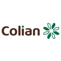 COLIAN HOLDING