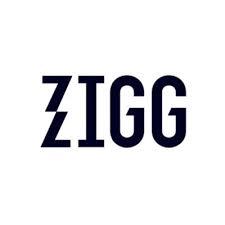 ZIGG CAPITAL