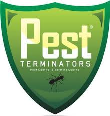 PEST TERMINATOR INDONESIA