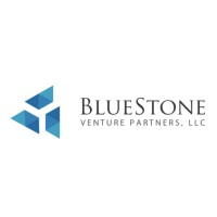 BLUESTONE VENTURE
