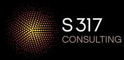 S317 CONSULTING