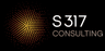 S317 Consulting