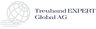 treuhand expert global ag