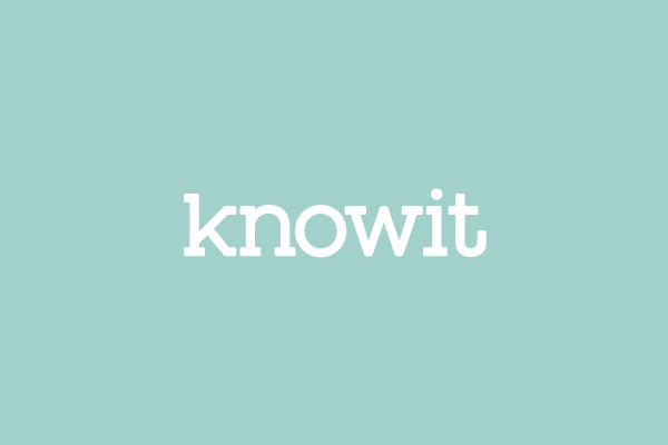 KNOWIT CONSULTING SERVICES