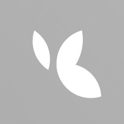 GOLDEN GATE ANCILLARY LLC