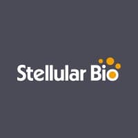 STELLULAR BIO