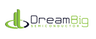 Dreambig Semiconductor