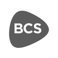 BCS CONSULTING