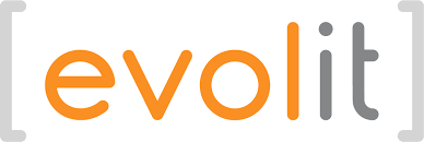 Evolit Consulting