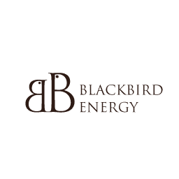 Blackbird Energy