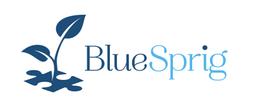 BLUE SPRIG PEDIATRICS