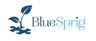 Blue Sprig Pediatrics