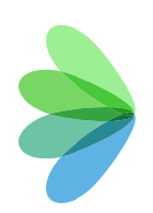 DRAGONFLY HEALTH INC