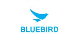 BLUEBIRD