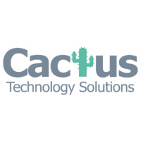 CACTUS TECHNOLOGY SOLUTIONS INC