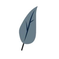 LEGACY HOSPICE HOLDINGS