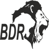 BDR PHARMACEUTICALS