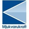 MJUKVARUKRAFT