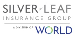 SILVERLEAF INSURANCE GROUP
