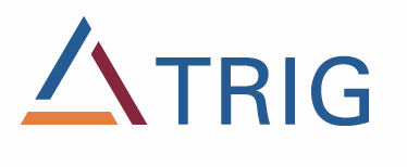 THE RENEWABLES INFRASTRUCTURE GROUP (GERMAN OFFSHORE WIND FARM PROJECT GODE WIND 1)