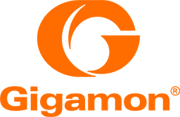 GIGAMON INC