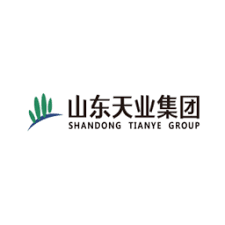 SHANDONG TIANYE
