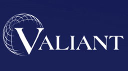 VALIANT ARTIFICIAL LIFT SOLUTIONS LLC