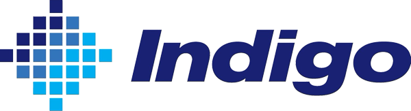 INDIGO MINERALS LLC