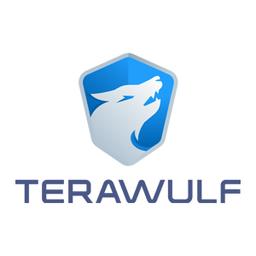 TERAWULF INC