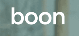 BOON TECHNOLOGIES INC